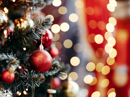 VSC Christmas Day Lunch image