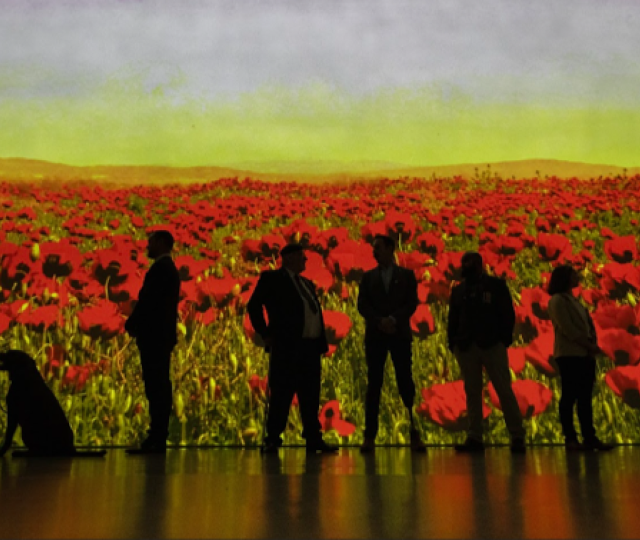 Remembrance Weekend at FRAMELESS image