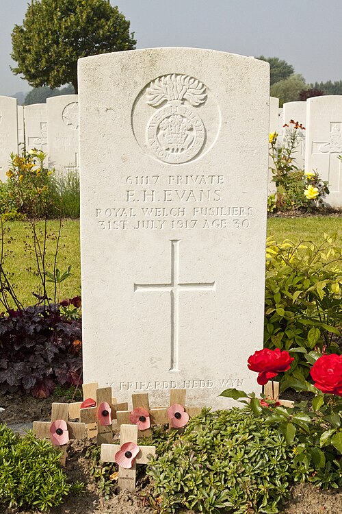 Hedd Wyn