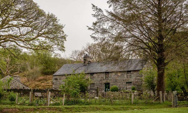 Hedd Wyn